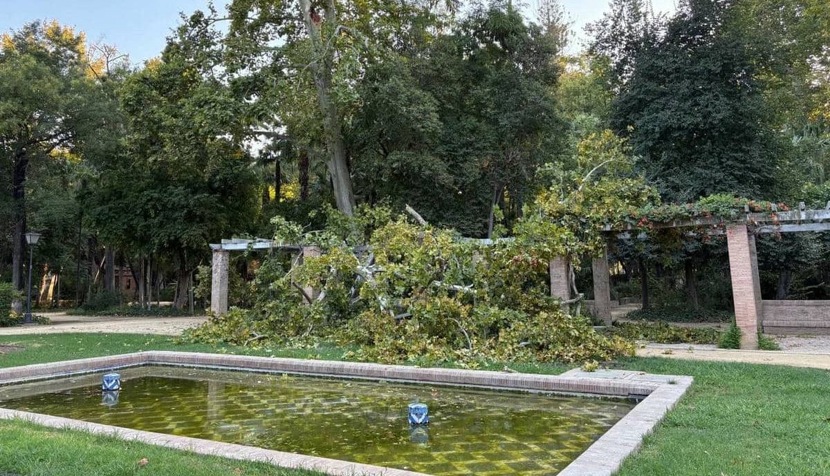 La pérgola, con daños.