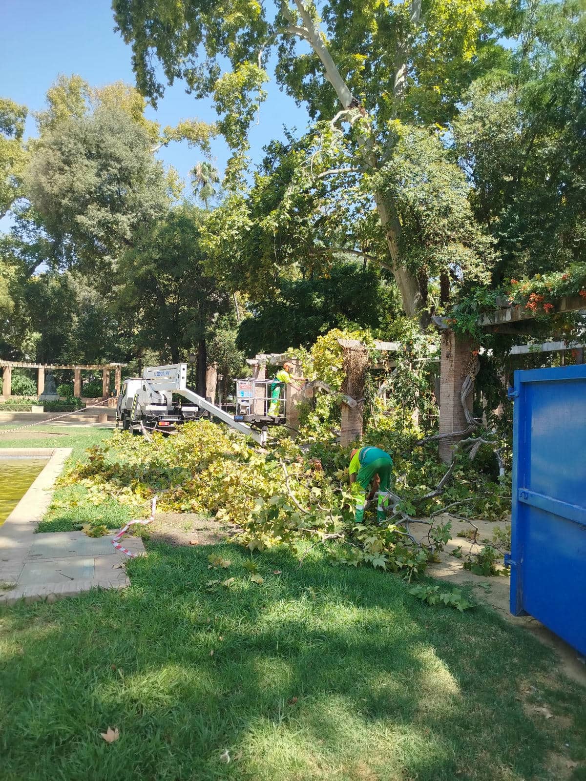Técnicos desplazados a la zona para arreglar la situación.