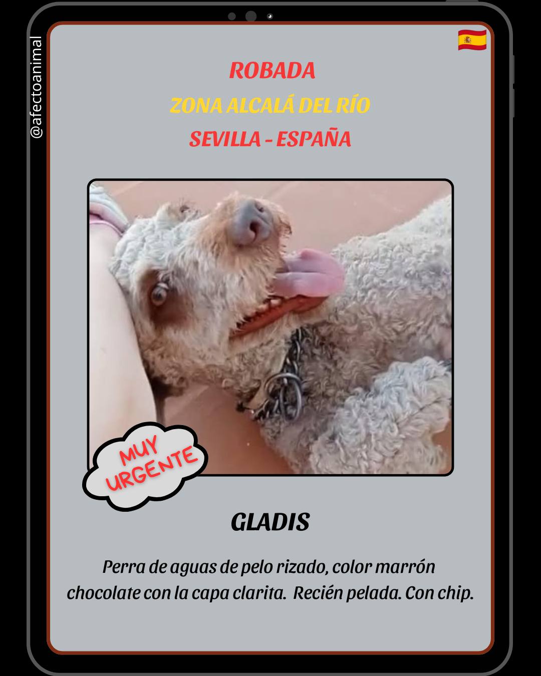 Publicación compartida en redes sociales sobre el caso de Gladis.