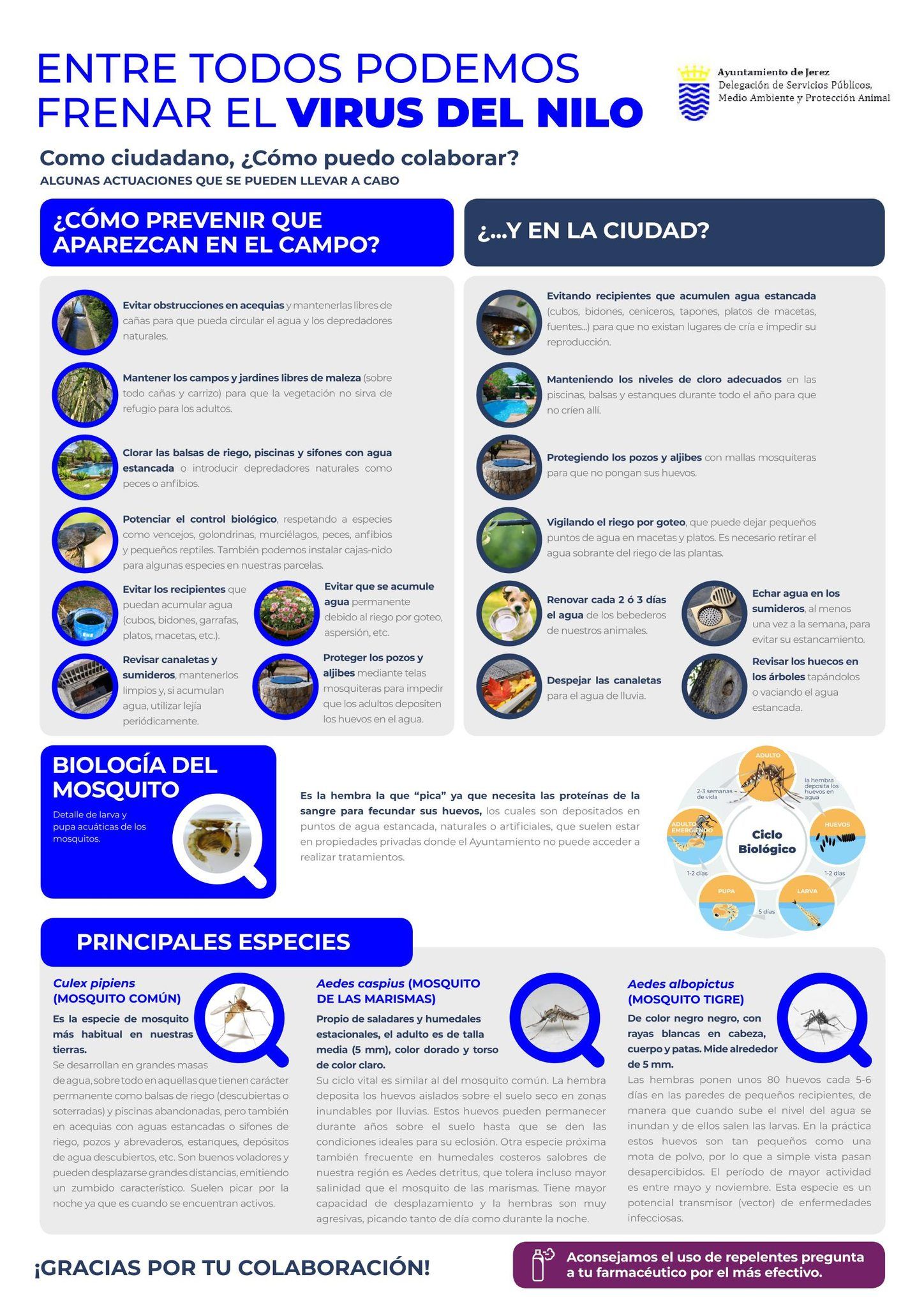 Tríptico con recomendaciones.