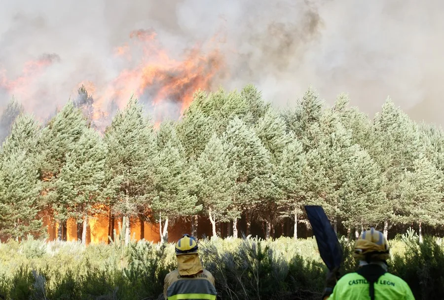 Brigadistas luchan contra el fuego entre Oursense y Zamora.