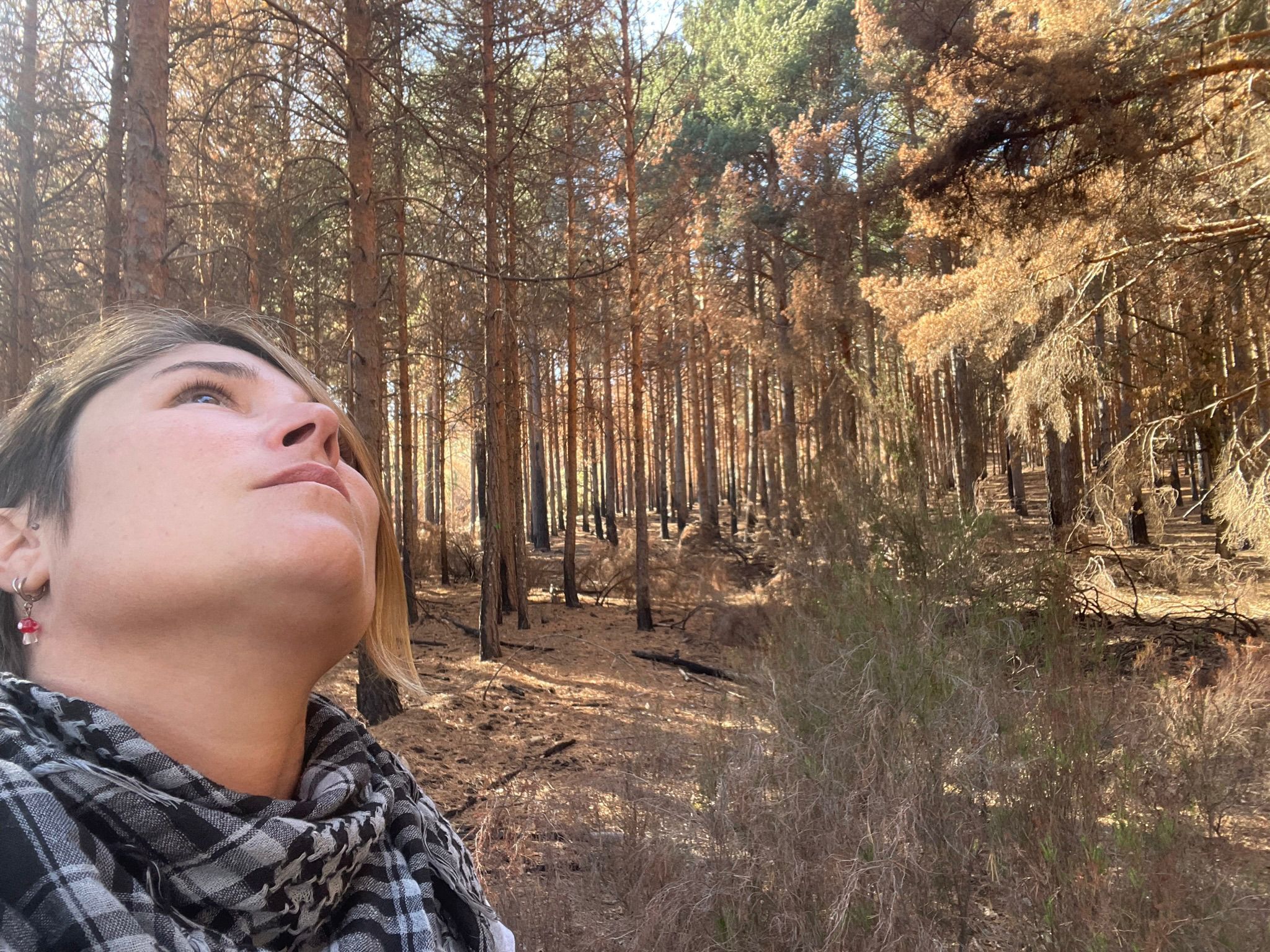 Nazaret Mateos, en el bosque.