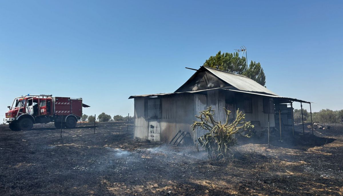 Así ha afectado este incendio en una finca de Almonte.