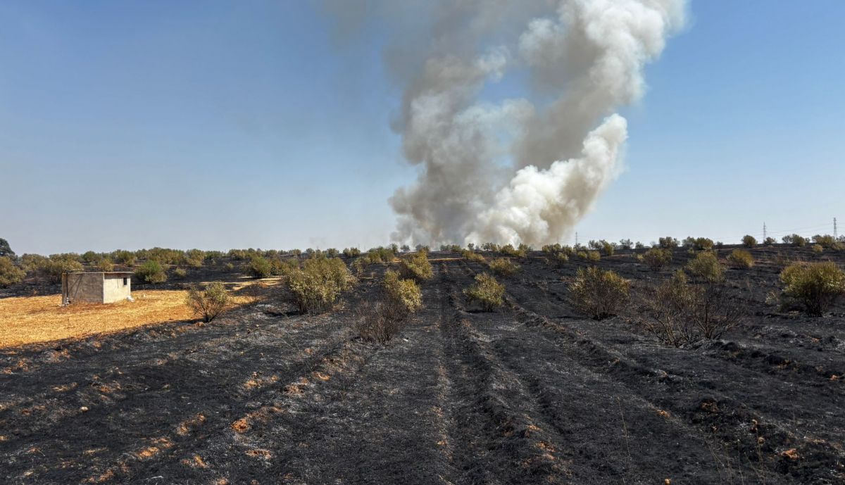 Bomberos intervienen al ver la humareda.