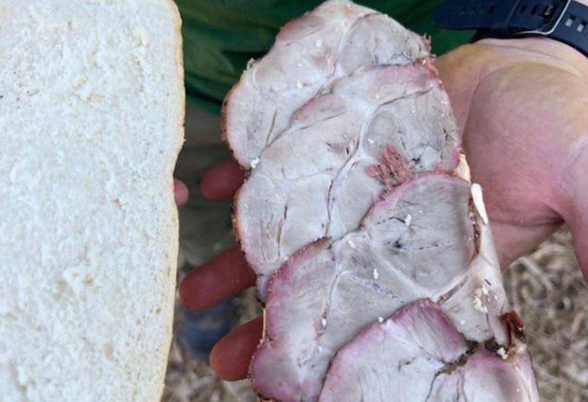 Bocadillo entregado a los bomberos forestales en Jerez. Bocadillo entregado a los bomberos forestales en Jerez.