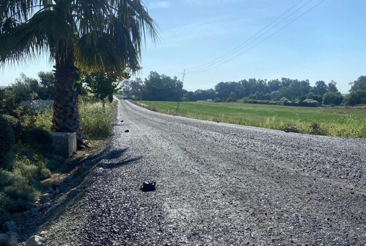 Carretera de San Ignacio Viar, donde ha tenido lugar el accidente en Alcalá del Río.