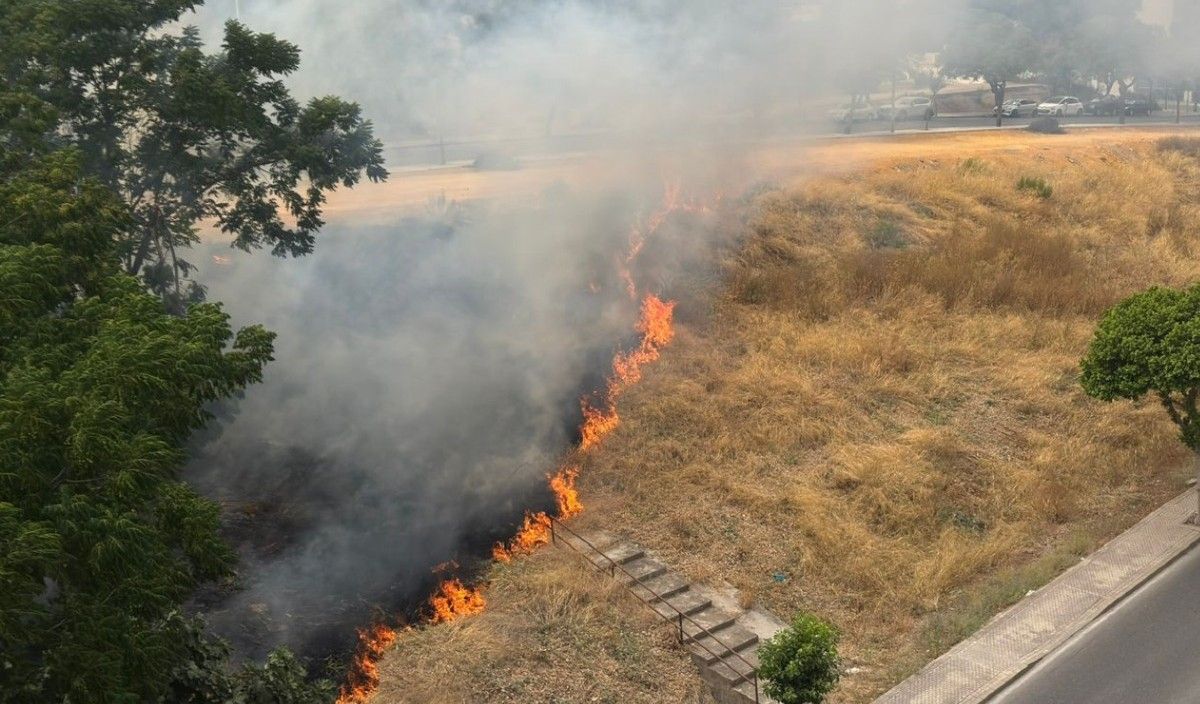 Uno de los incendios provocados en Camas.