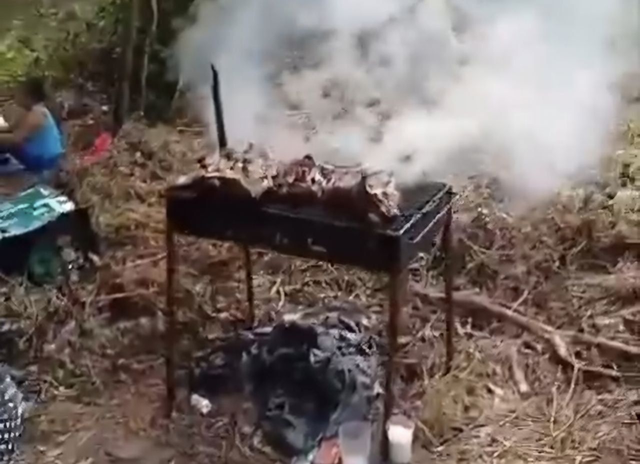 Una barbacoa en pleno monte.