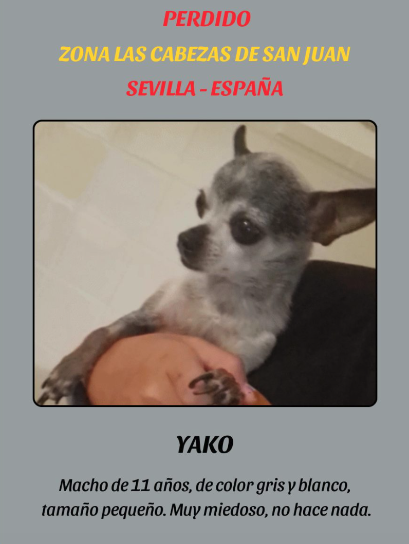Anuncio de búsqueda de Yako.