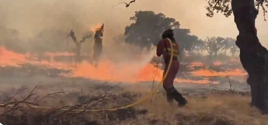 Bomberos combatiendo el incendio en Aliseda, en Extremadura.