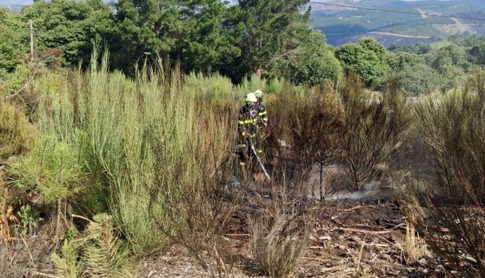 Bomberos de Cádiz, en Ourense.