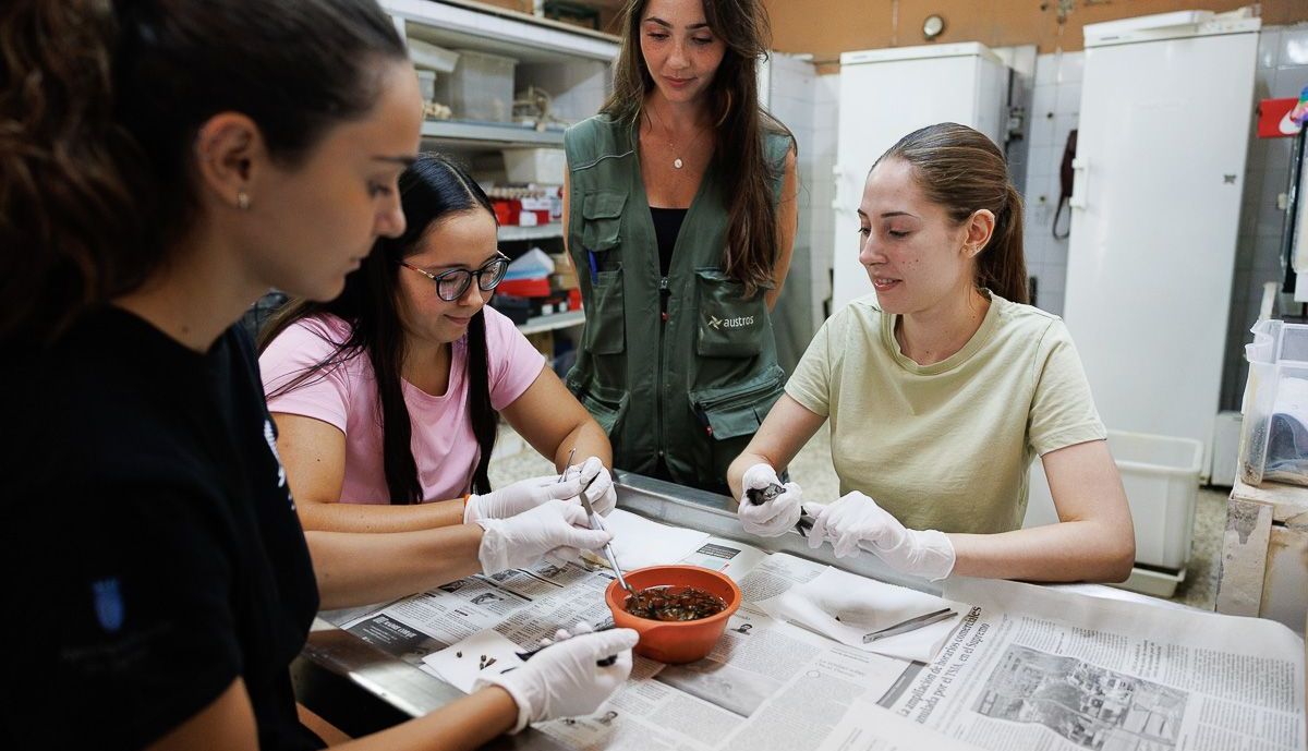 Zoo aves en peligro  06