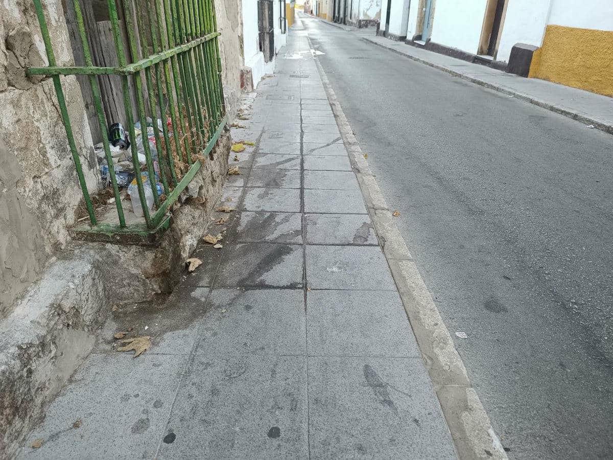 Suciedad por las calles de El Puerto.