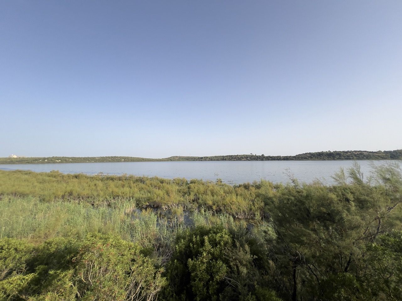 La Laguna de Medina, en una imagen reciente.