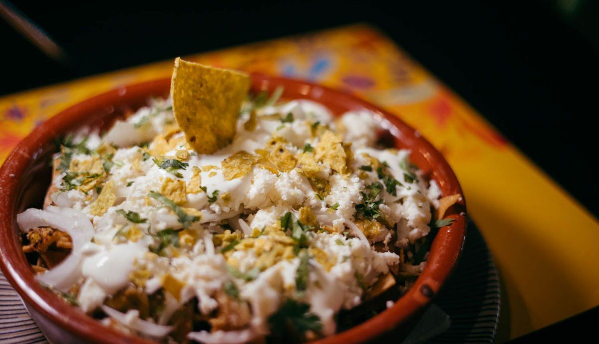 CACTUS TERRAZA MEXICANA 07