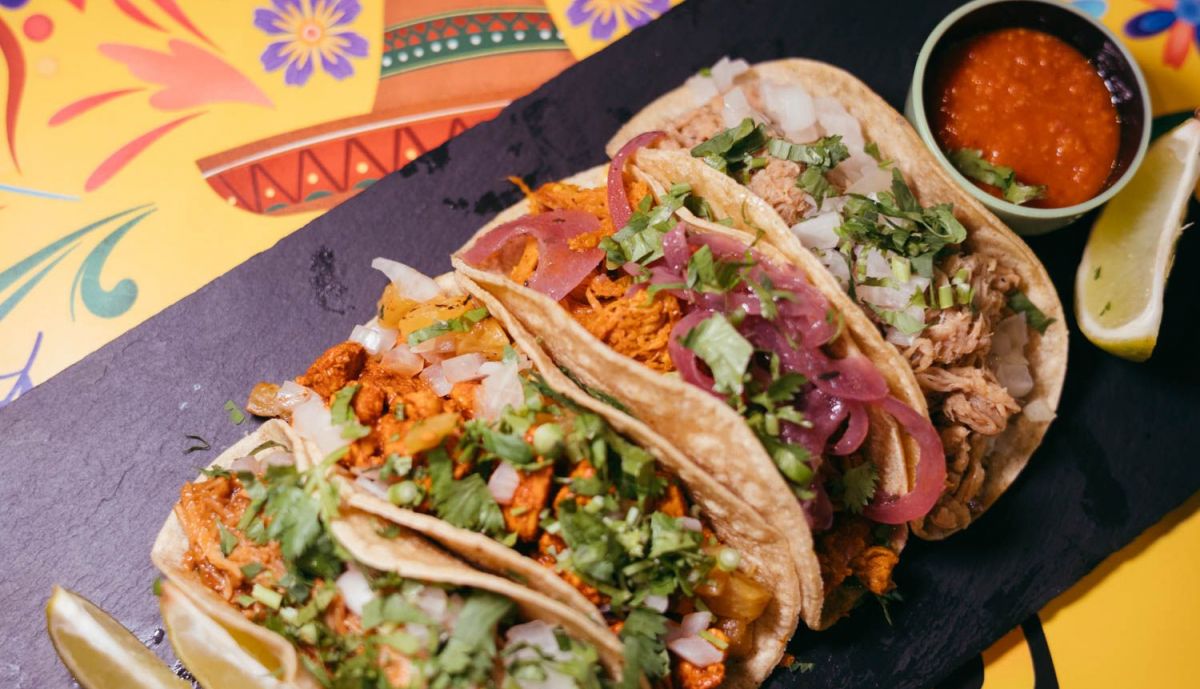 CACTUS TERRAZA MEXICANA 10