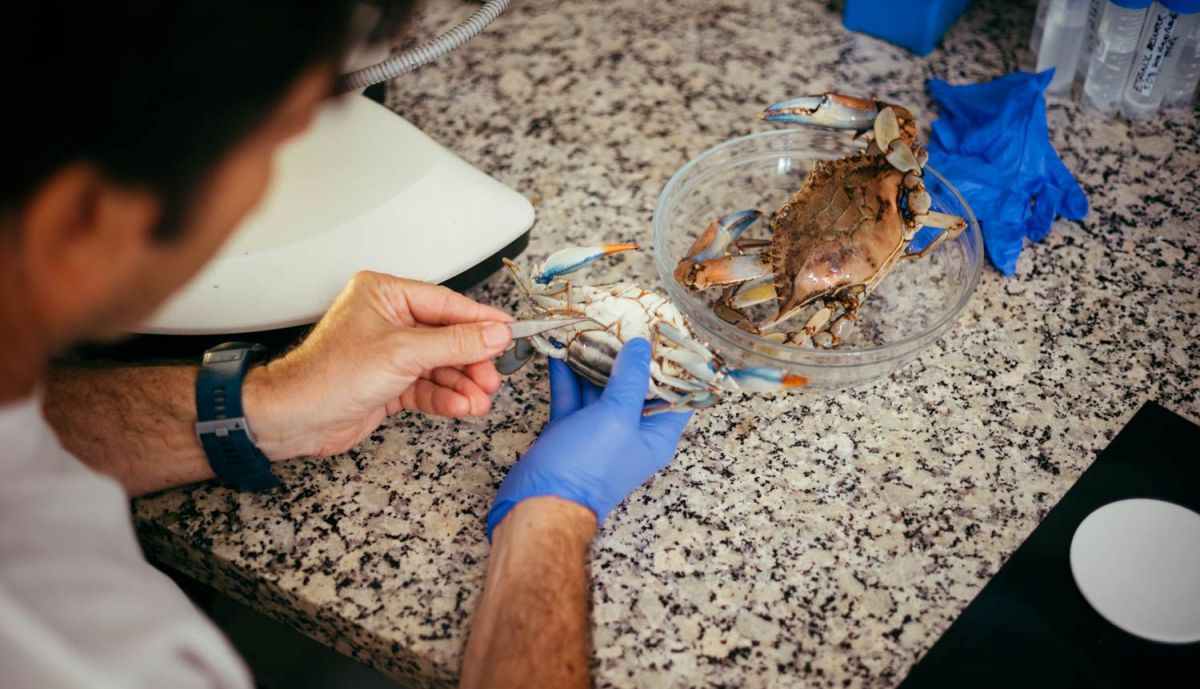 ENRIQUE GONZALEZ CIENTIFICO 04