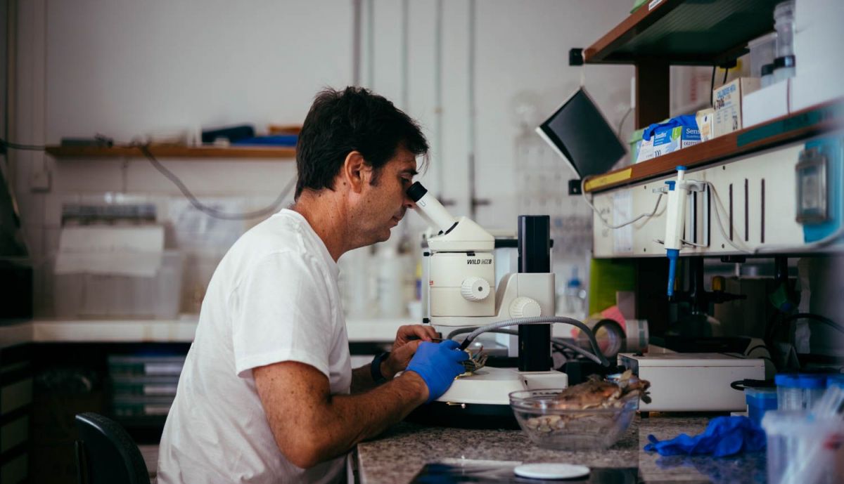 ENRIQUE GONZALEZ CIENTIFICO 05