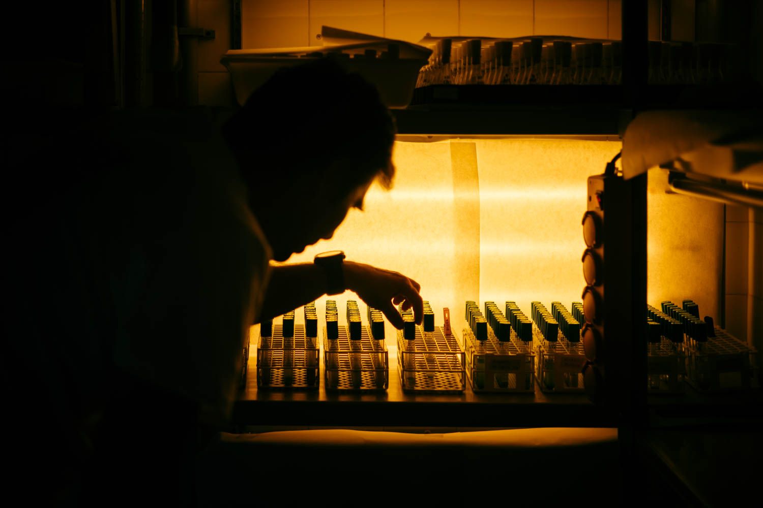 Un científico en una imagen de archivo.