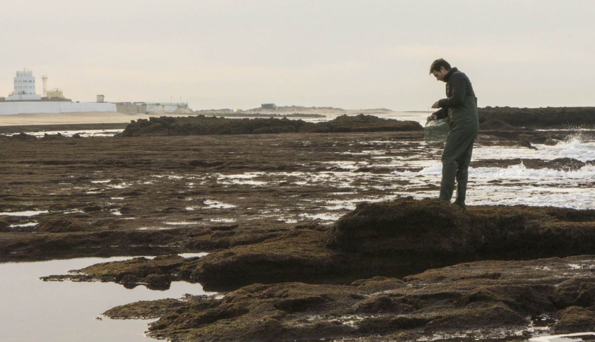 ENRIQUE GONZALEZ CIENTIFICO 12