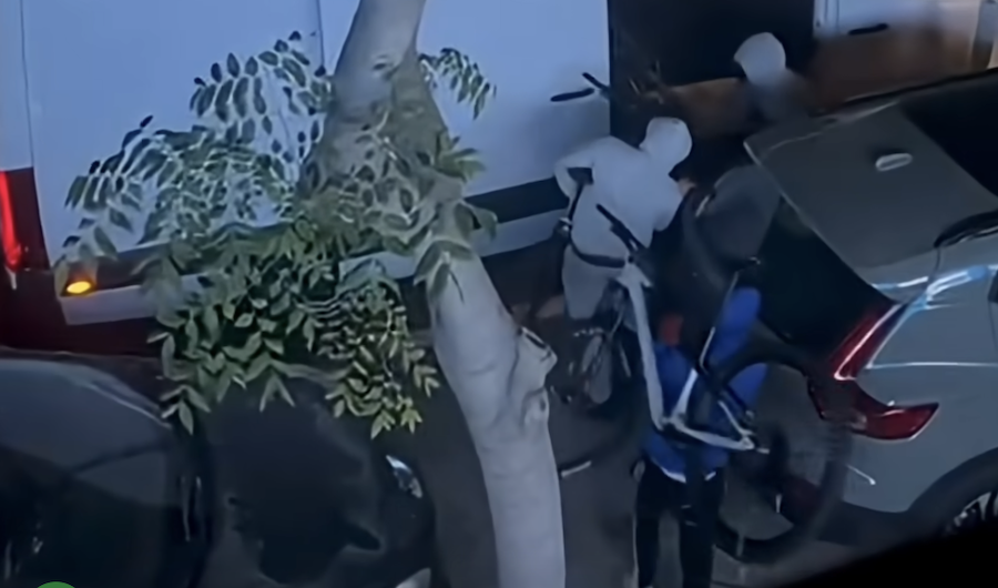 Ladrones llevándose bicicletas de Ciclos Cabello.