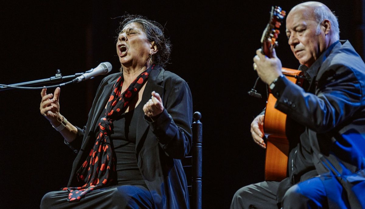 Fiesta de la Bulería Esteban 38