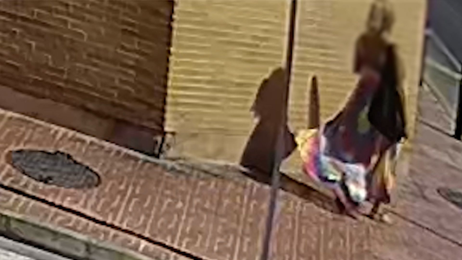 La anciana volviendo a casa del supermercado, antes del terrible susto con graves consecuencias que sufrió, en imágenes de cámaras de videovigilancia.