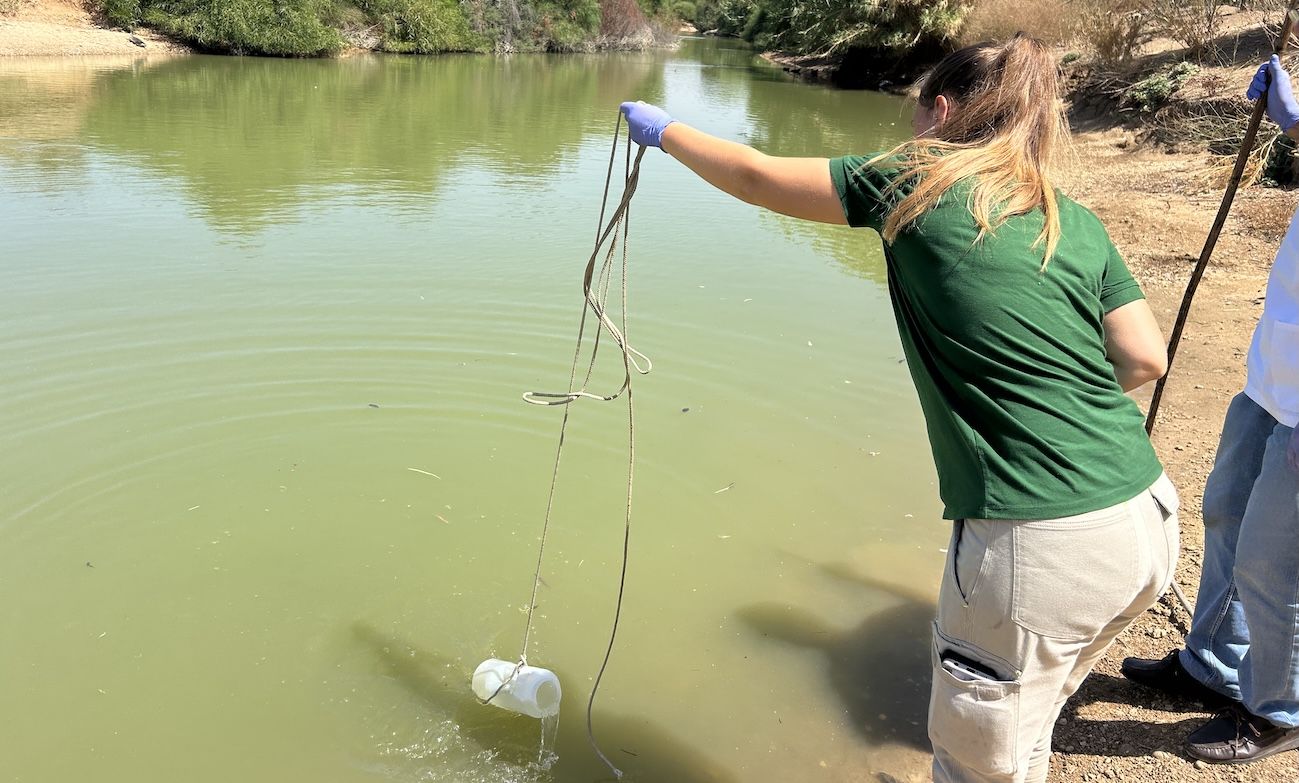 Una técnica municipal de Sevilla estudia el estado del agua del Parque del Tamarguillo.