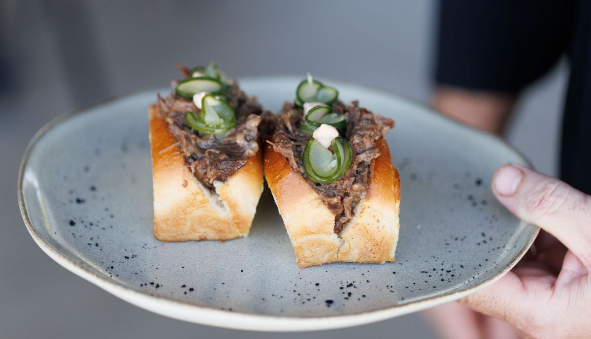 Raices Puerto Real  03