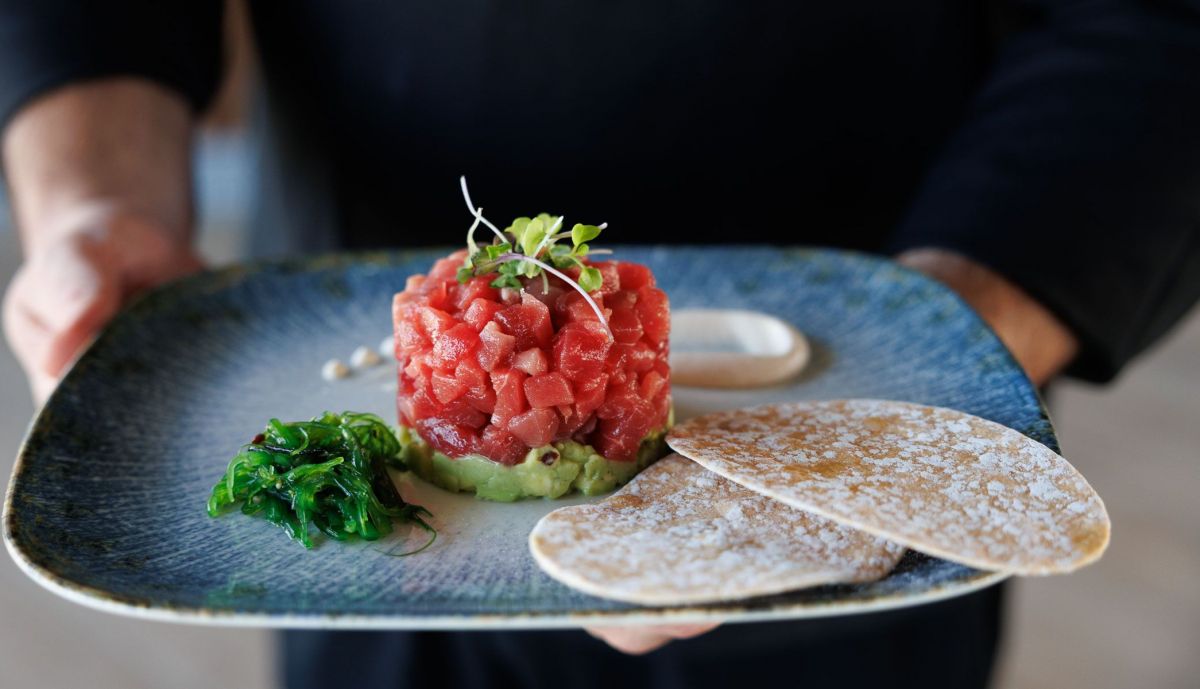 Raices Puerto Real  07