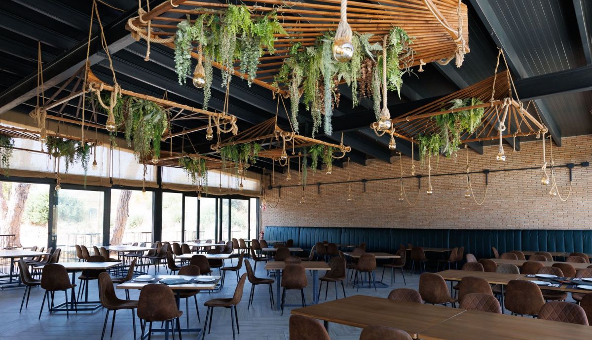 Raices Puerto Real  09