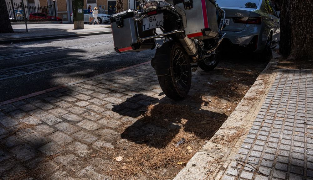 VANDALISMO   SUCIEDAD  CADIZ ZONA PARQUE GENOVES