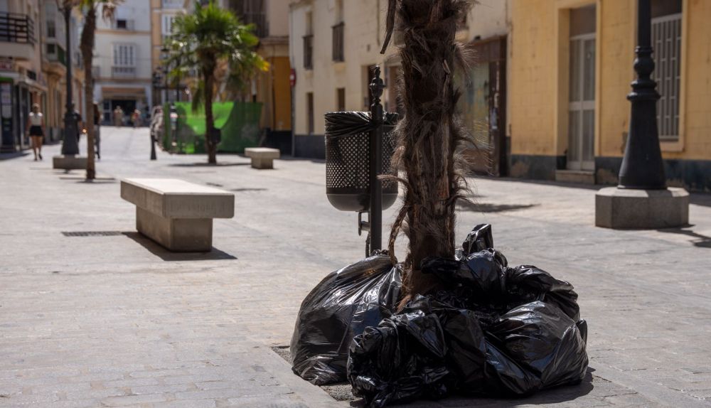 VANDALISMO   SUCIEDAD  CADIZ BASURA SIN RECOGER 