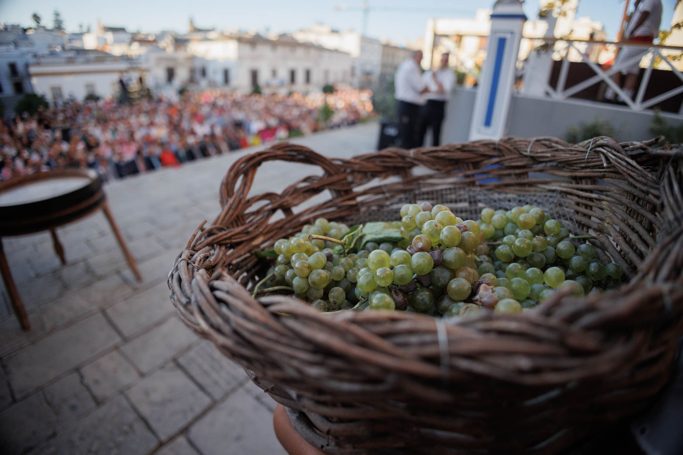 Detalle de la uva antes de ser aplastada
