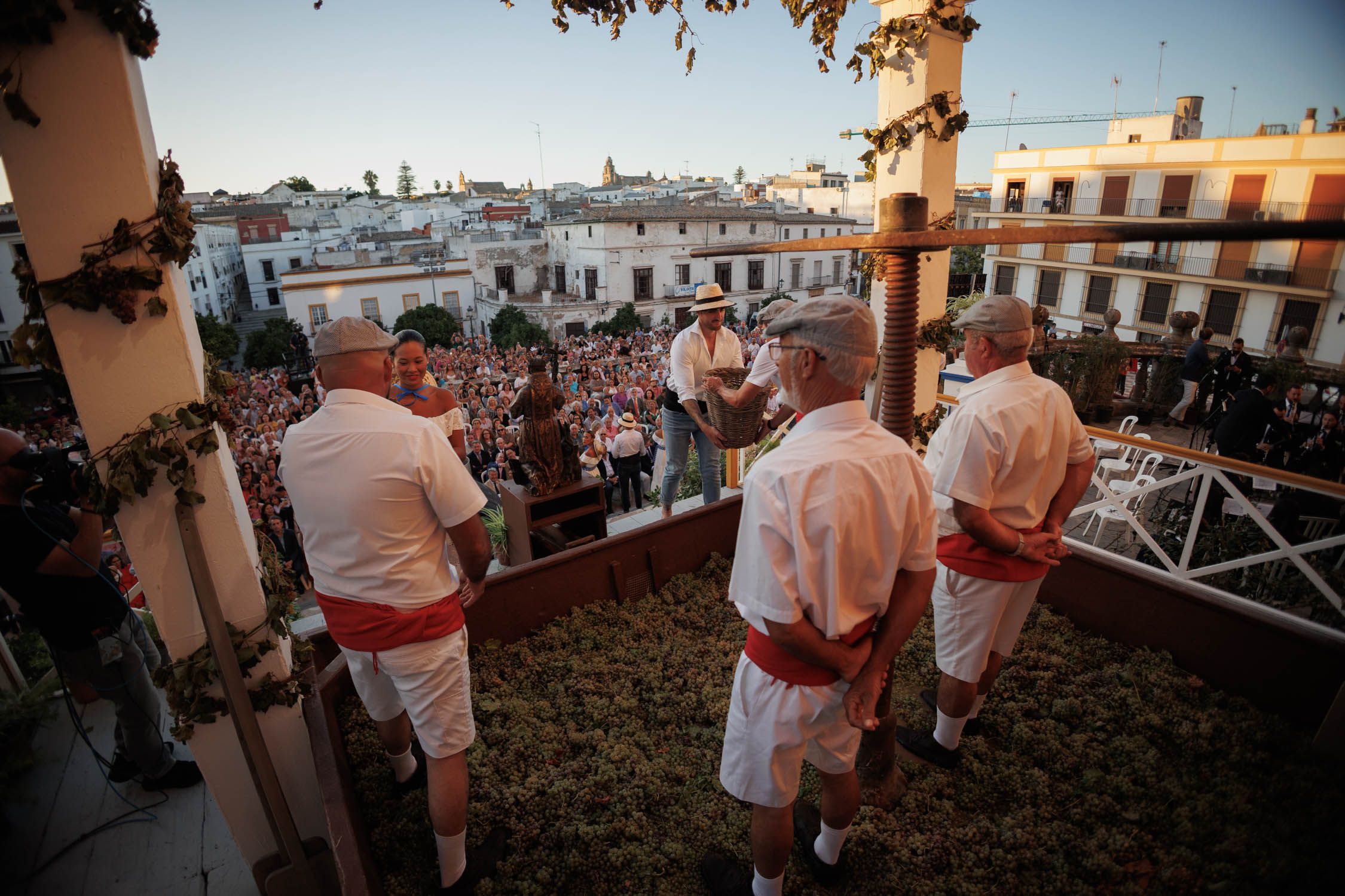 Primeras uvas en caer al lagar