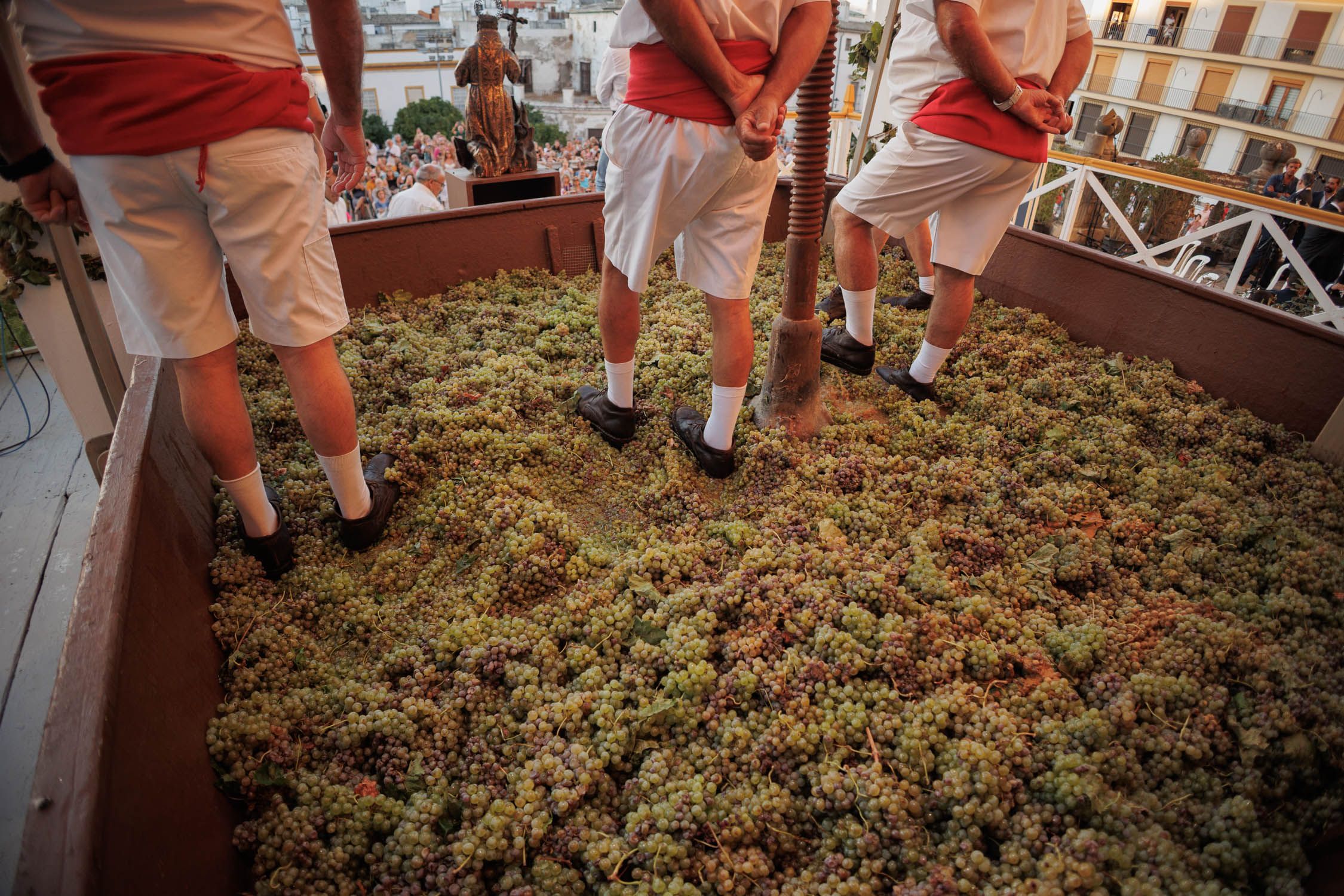 El lagar, con algunas uvas que han vertido previamente