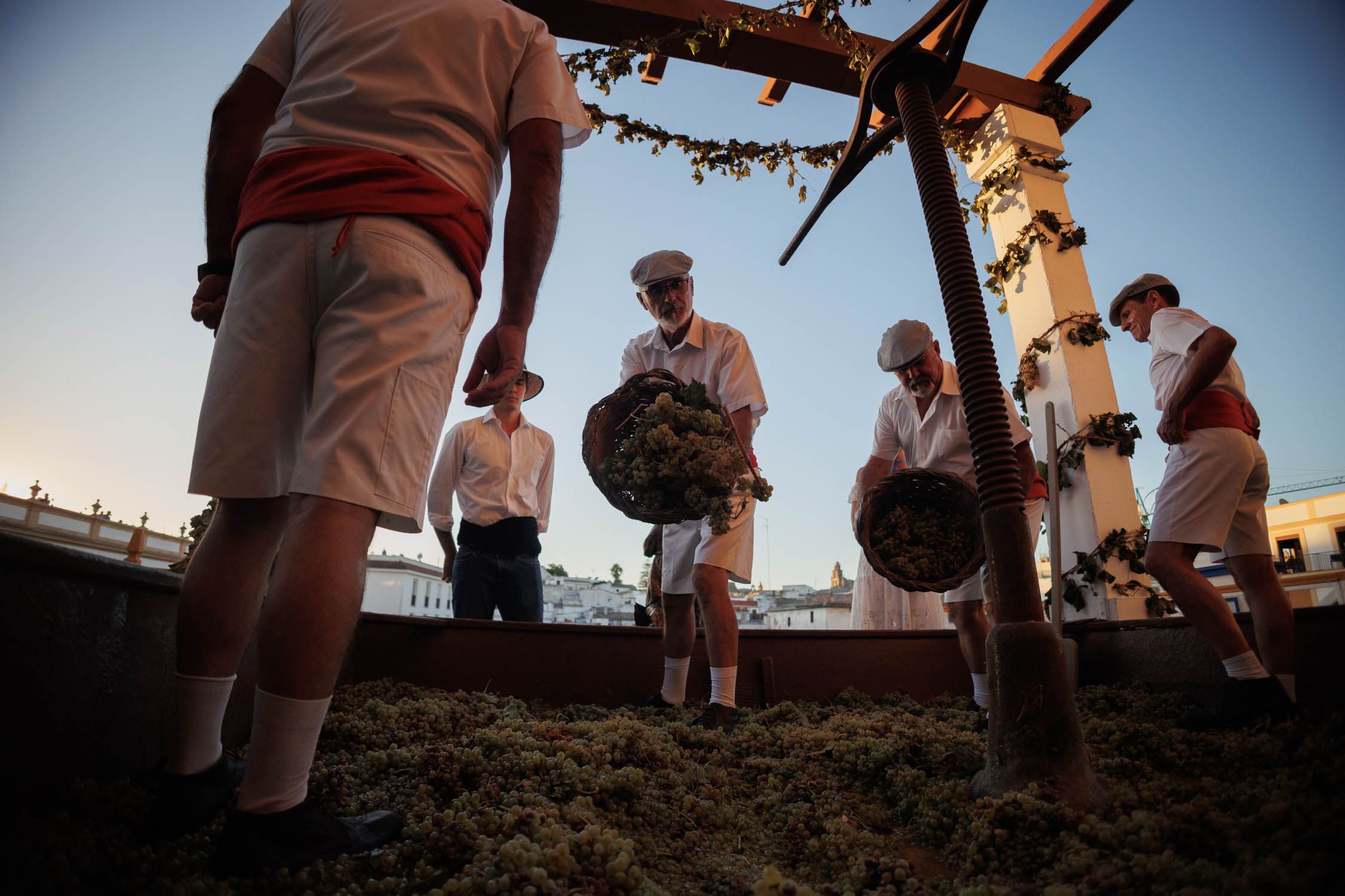 Contra luz de uno de los pisadores vertiendo la uva en el lagar
