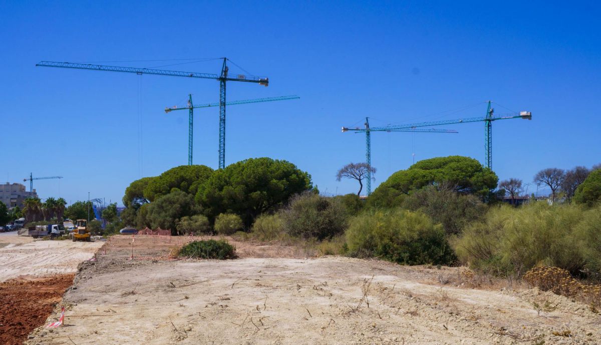 RANCHO LINARES CONSTRUCCION 24