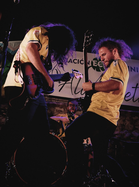 El grupo ubriqueño, Mientras las abejas duermen.