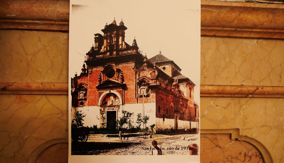 Cura Ficus San Jacinto  02