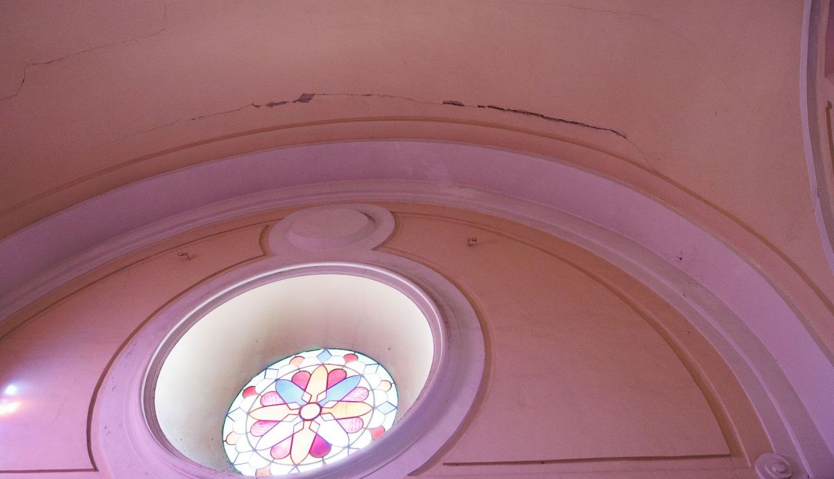 Cura Ficus San Jacinto  03