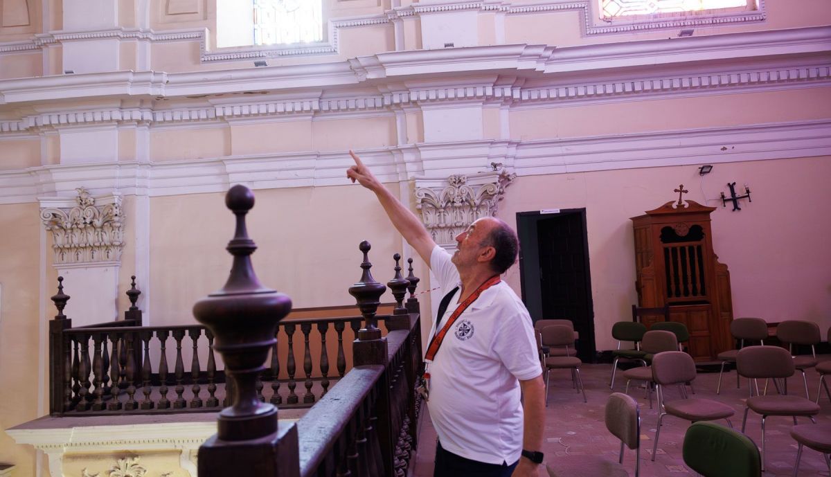 Cura Ficus San Jacinto  04