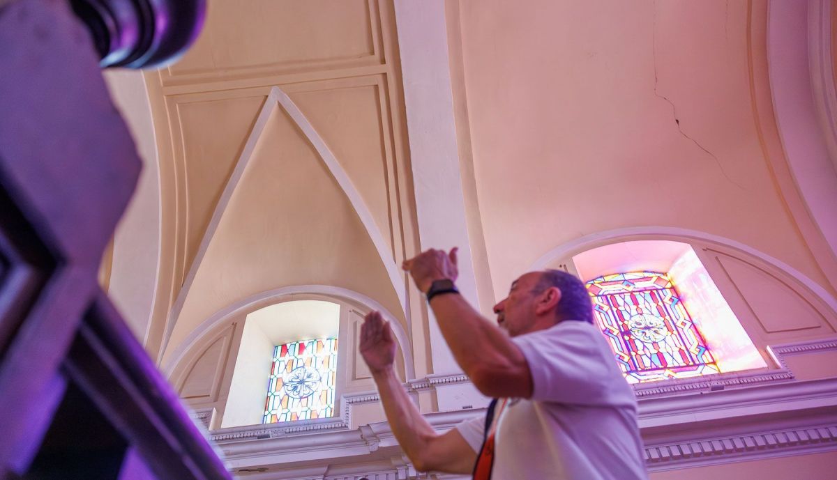 Cura Ficus San Jacinto  05