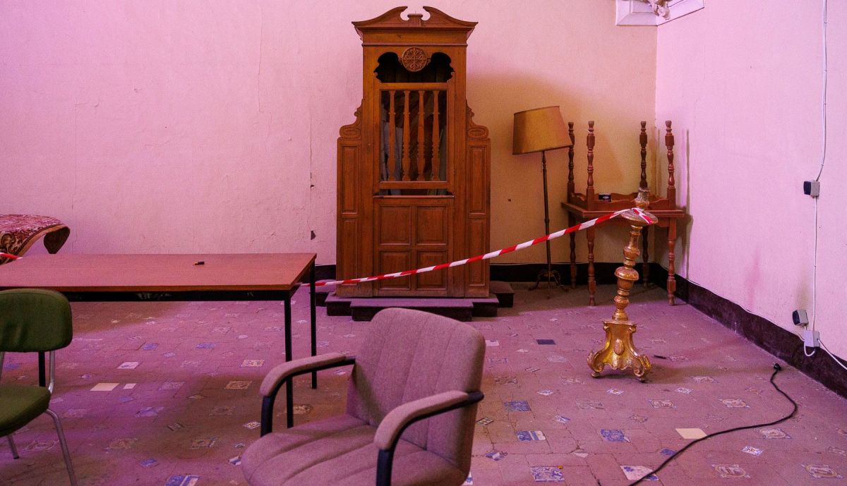 Cura Ficus San Jacinto  06