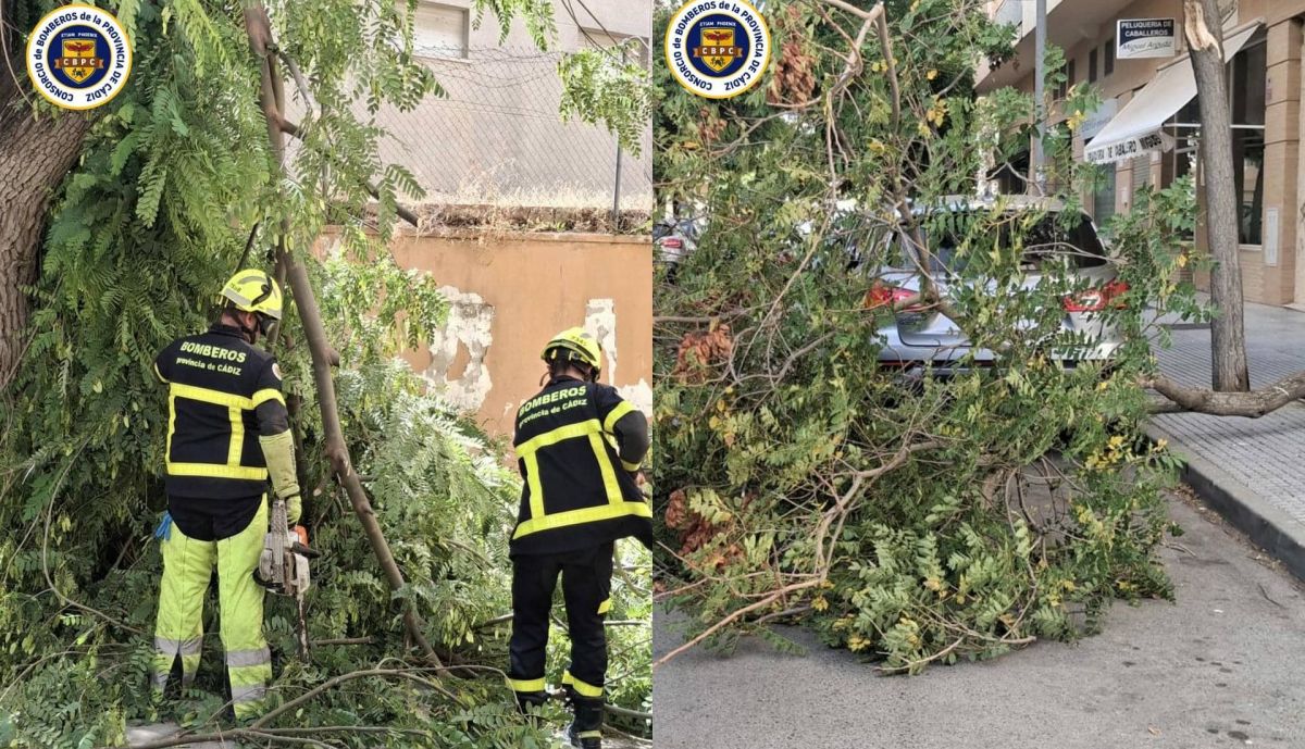 Intervenciones de bomberos este sábado.
