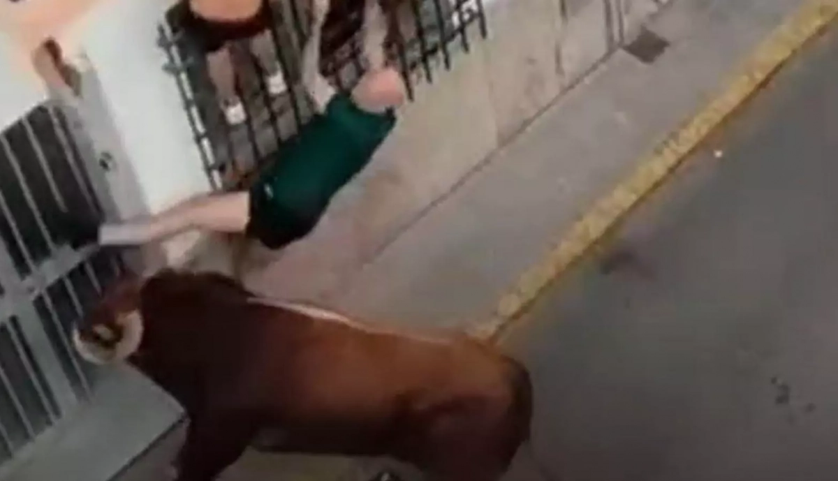 ubrique toro gayumbo cornada