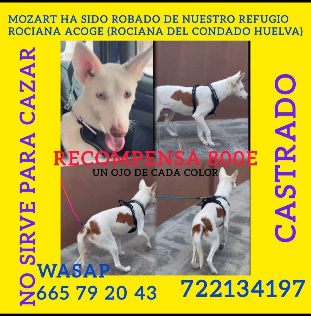 Imagen difundida en redes sociales.