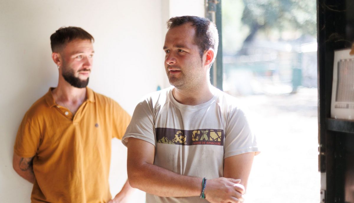 Oveja Merina de Grazalema  02