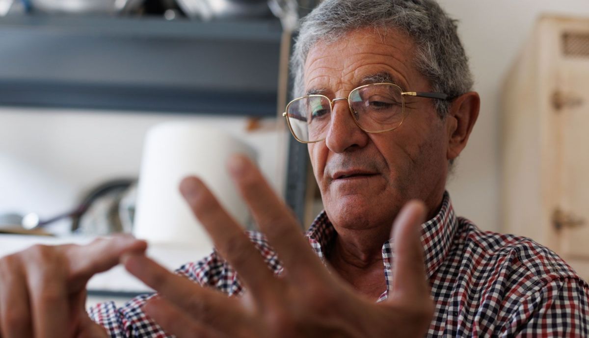 Oveja Merina de Grazalema  01