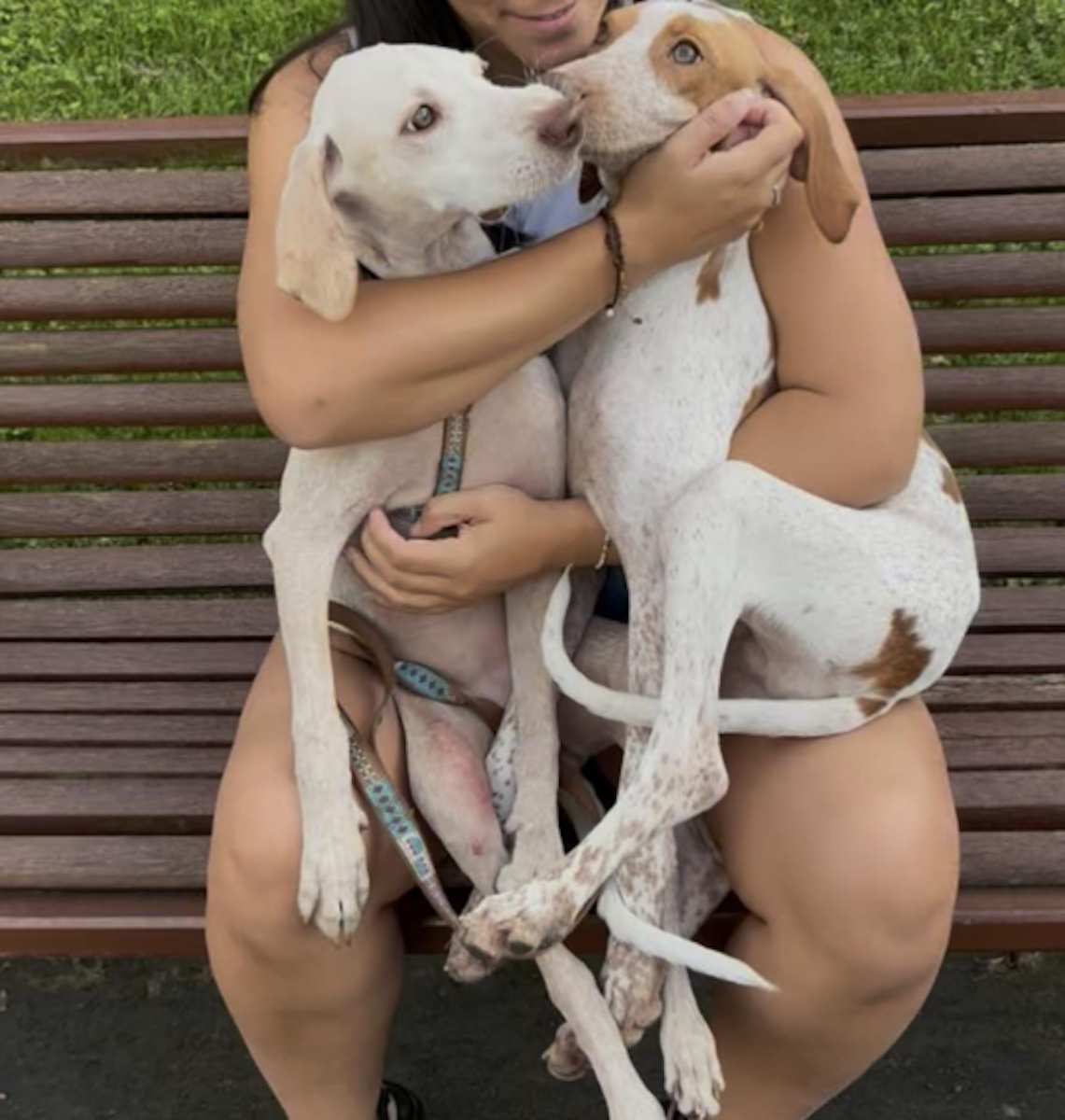 Los cachorros, Felipe y Letizia.